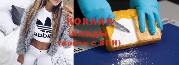 молекула духа Белоозёрский
