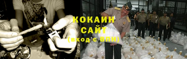 молекула духа Белоозёрский