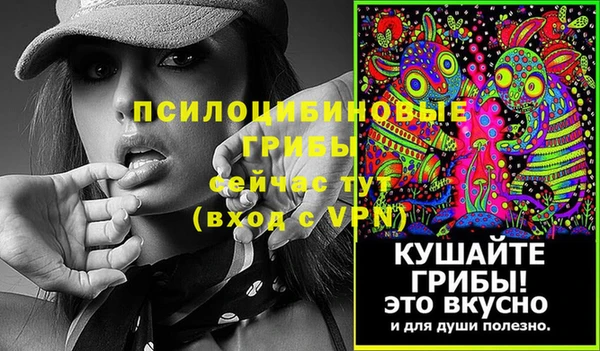 молекула духа Белоозёрский