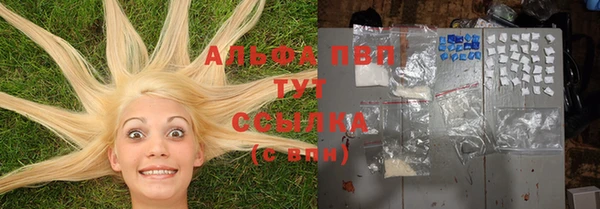 молекула духа Белоозёрский