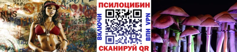 Псилоцибиновые грибы мицелий  Павловская 